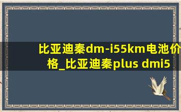 比亚迪秦dm-i55km电池价格_比亚迪秦plus dmi55km电池多大